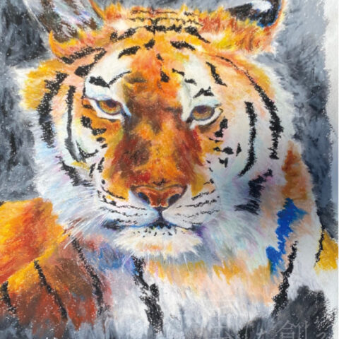 Kazuyuki「トラ」