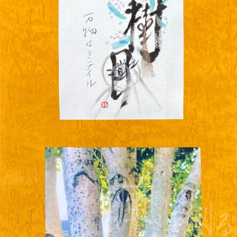 ゆら ゆらり「樹目」