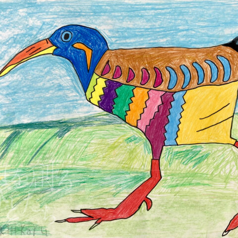 宇川 輝「ヤンバルクイナ」