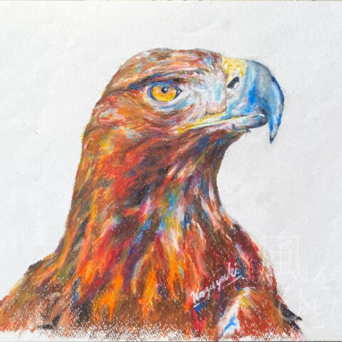 Kazuyuki「イヌワシ」