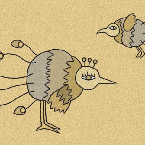 葉月ハブ「奇妙な鳥」