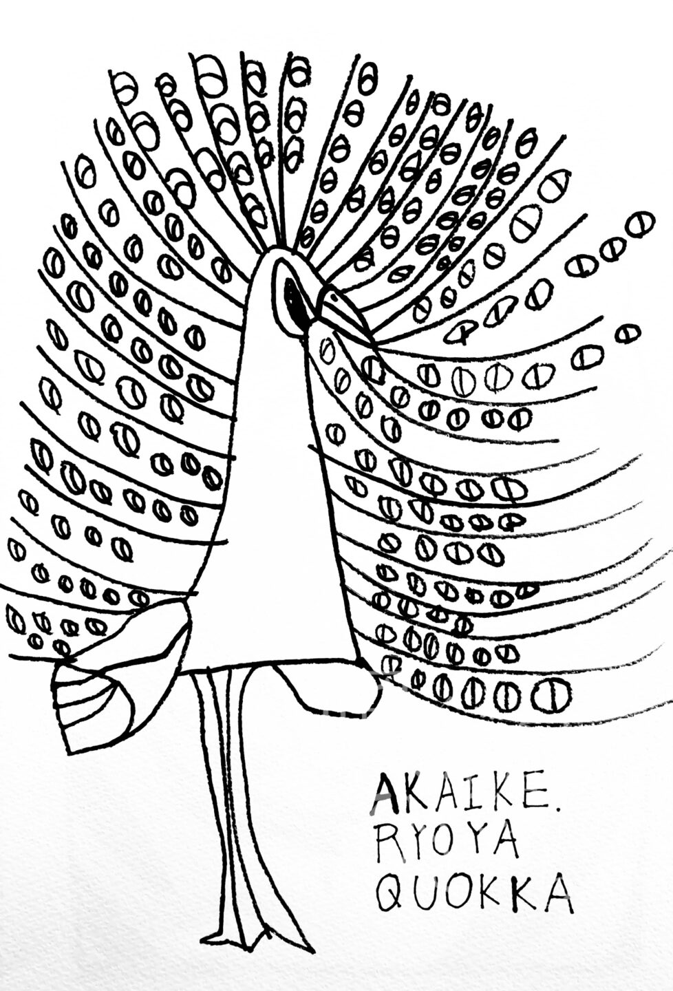 赤池 僚也「Peafowl」