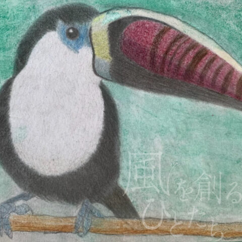 片山 八雲「シロムネオオハシ」