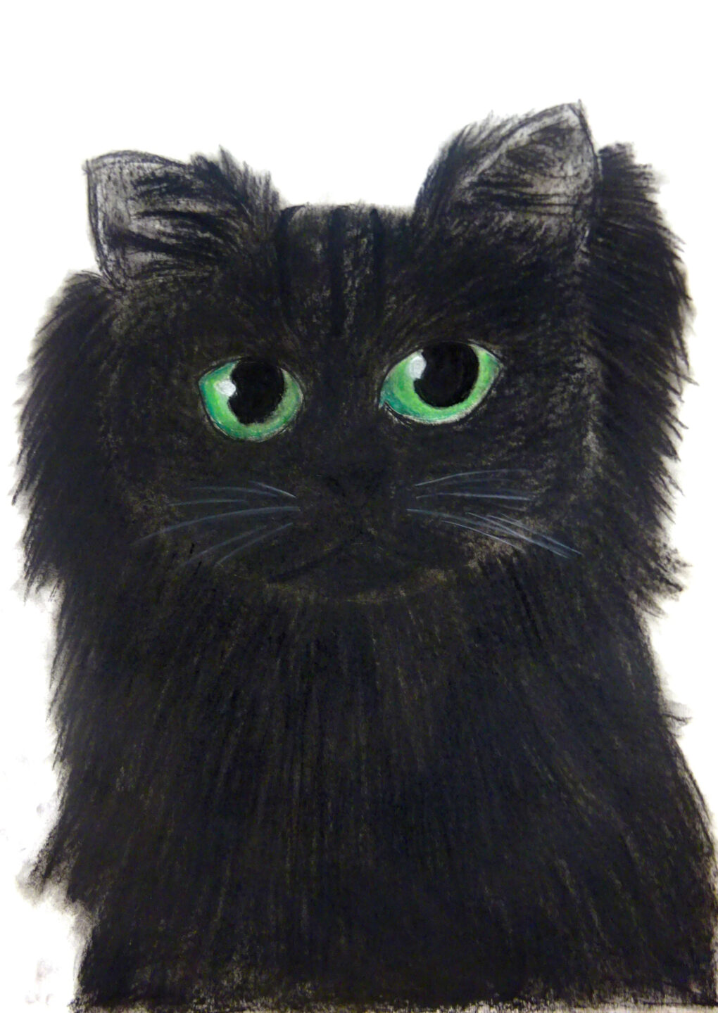 望月 絵利果「黒猫」