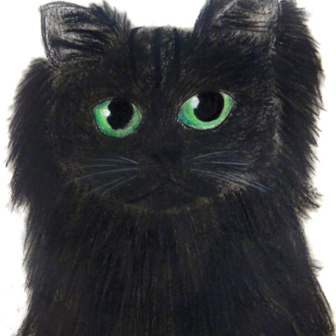 望月 絵利果「黒猫」