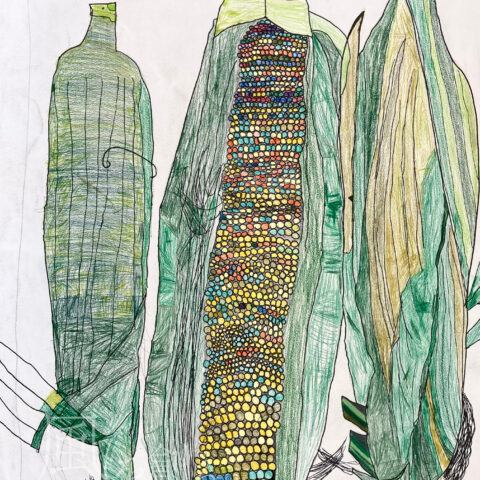 宇川 輝「トウモロコシ」