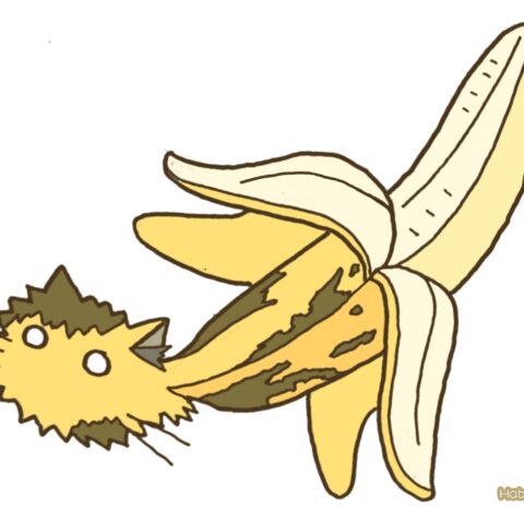 葉月ハブ「ヴェルヴェットアンダーグランド&ネコ」