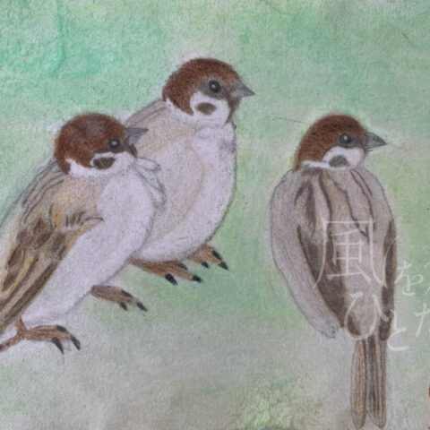 片山 八雲「スズメさん、何を見ているの？」