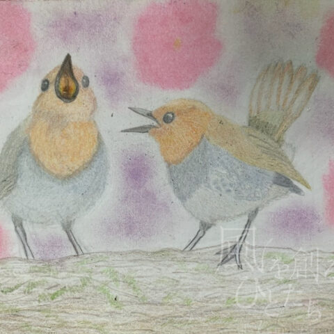 片山八雲「コマドリさん達は誰を呼んでいるのかな？」