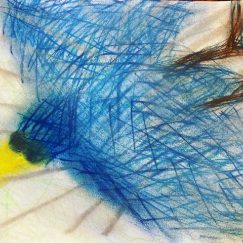 satori「空飛ぶカラス」