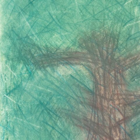 satori「ひかりの記憶」