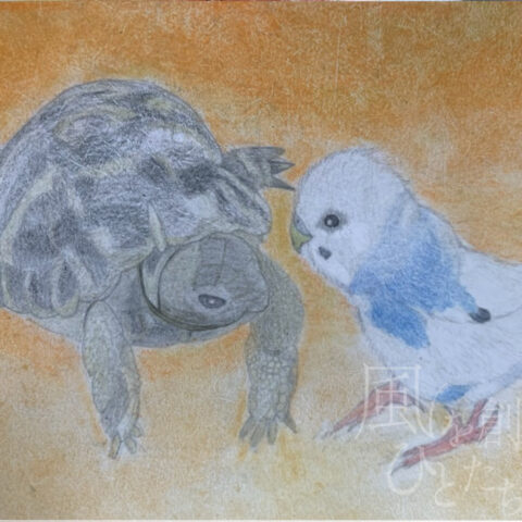 片山八雲「ヘルマンリクガメとセキセイインコ」