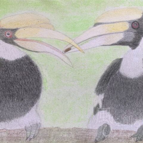 片山 八雲「サイチョウの夫婦」