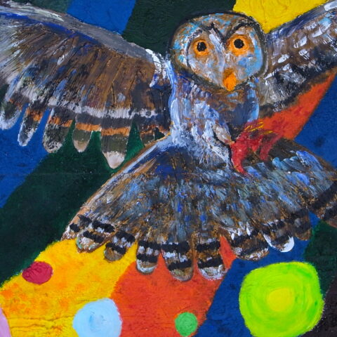 鈴木隆志「フクロウ」