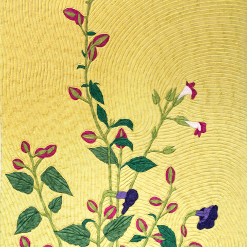 安間佐恵「トレニア」