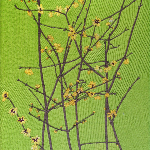 安間佐恵「蝋梅 」