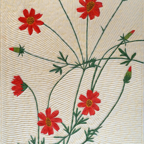 安間佐恵「黄花コスモス」