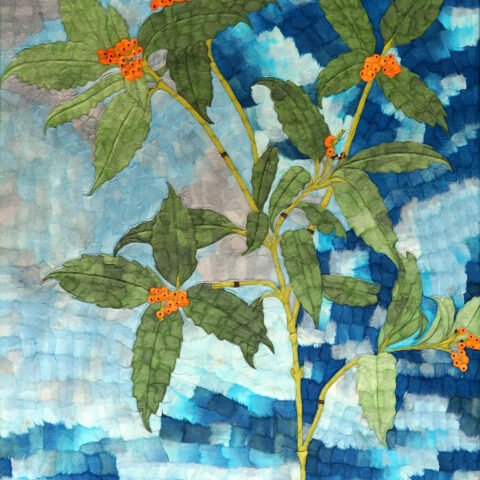 安間佐恵「千両 」