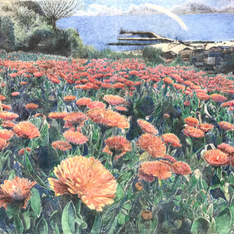 田代源一郎「無題」