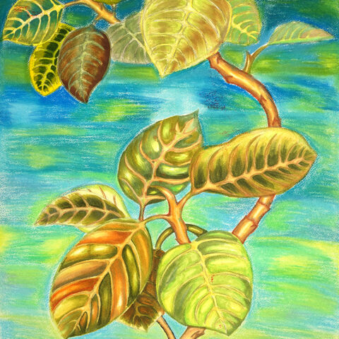 提坂帆乃夏「植物」