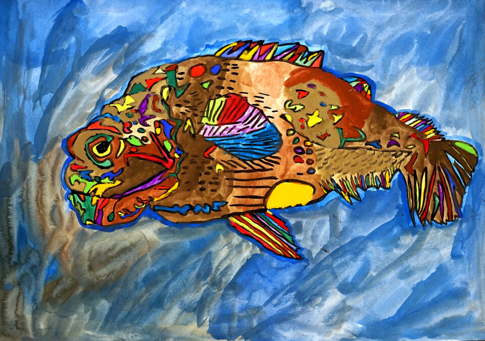 関谷早央「魚」 | ふじのくに障がい者芸術ポータルサイト Findart(ふぁ