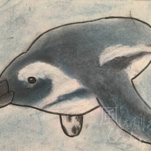 片山 八雲「泳ぐの大好きケープペンギン」