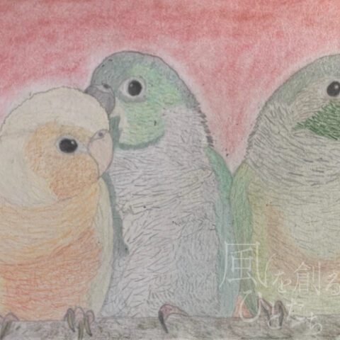 片山 八雲「3羽のウロコインコ」