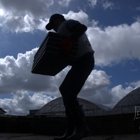 小松 アツヒト「青空の下で」