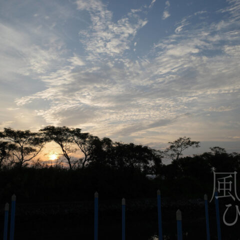 小松 アツヒト「朝の風景」