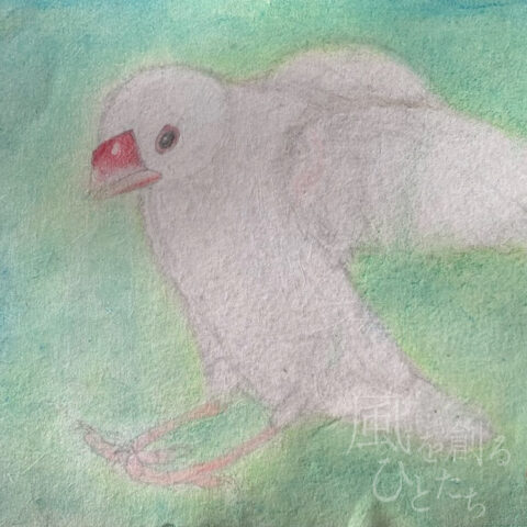 片山 八雲「白文鳥」