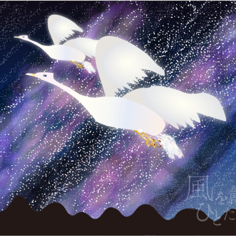 西尾 亜加梨「宙（そら）の旅」