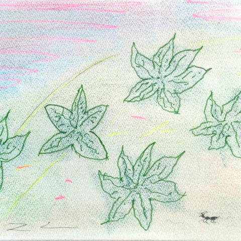 陶山 昌和「朝日に輝く、クモの糸　11」