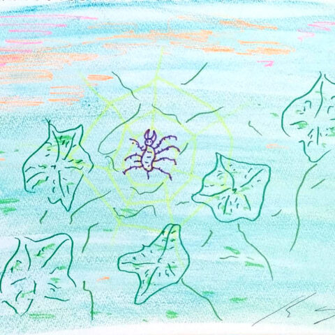 陶山 昌和「朝日に咲く、クモ　11」