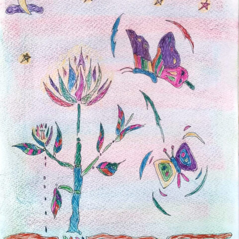 陶山 昌和「月夜を舞う蝶　11」