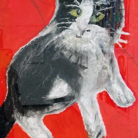 廣瀬 綸子「ハチワレくん」