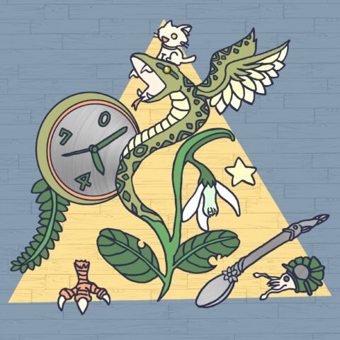 葉月ハブ「花からの脱皮」