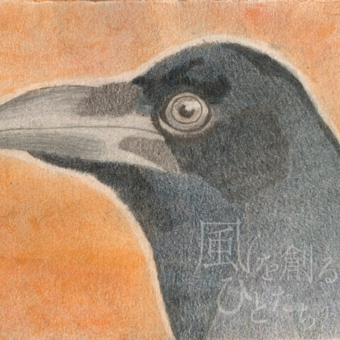 片山 八雲「ミヤマガラス」