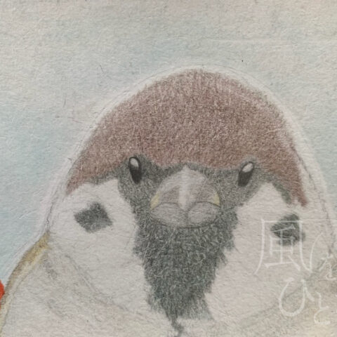片山 八雲「まんまるスズメ」