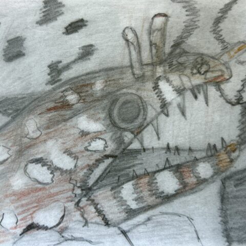 芹澤 倭麻「トラウツボ」