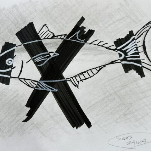 芹澤 倭麻「生きられなかった魚」