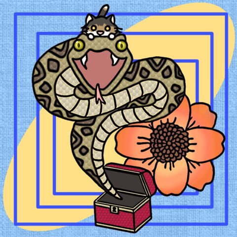 葉月ハブ「ヘビのびっくり箱」