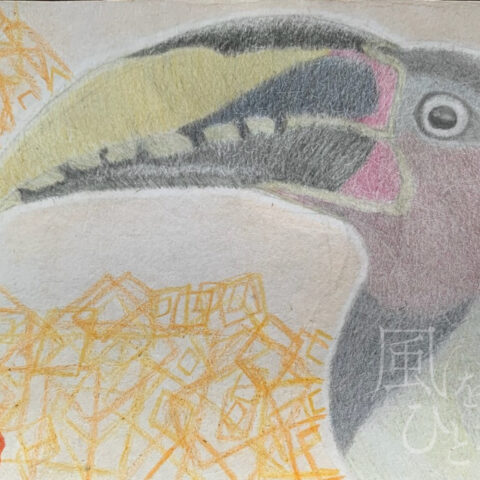 片山 八雲「チャミミチュウハシ②」