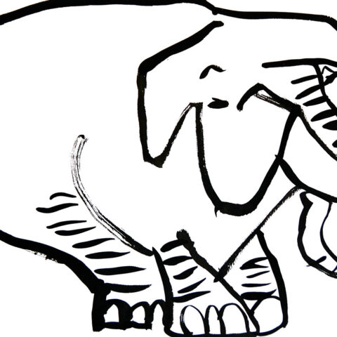 園田康貴「ゾウ」