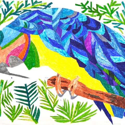 山崎孝「オウム」