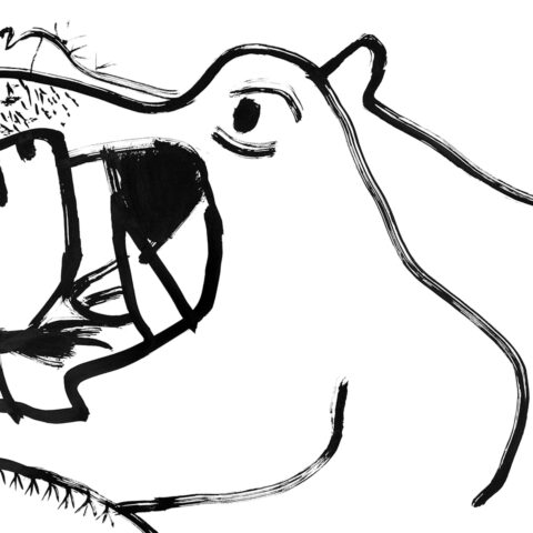 園田康貴「カバ」