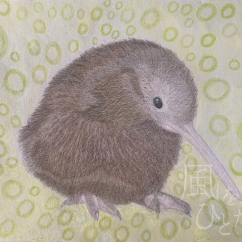 片山 八雲「キーウィ」