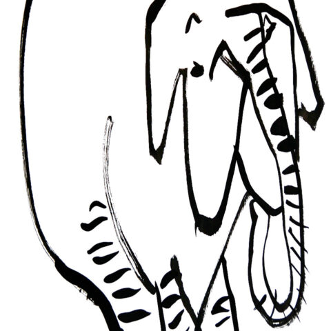 園田康貴「ゾウ」