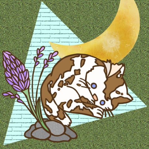 葉月ハブ「地球儀ネコ」