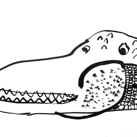 園田康貴「ワニ」