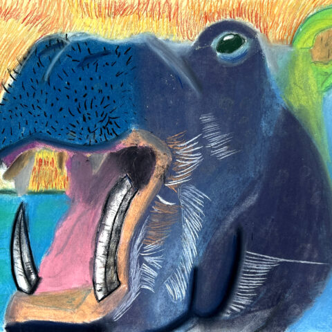 櫻井陽菜「カバ」